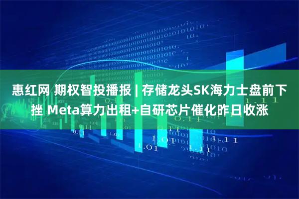 惠红网 期权智投播报 | 存储龙头SK海力士盘前下挫 Meta算力出租+自研芯片催化昨日收涨